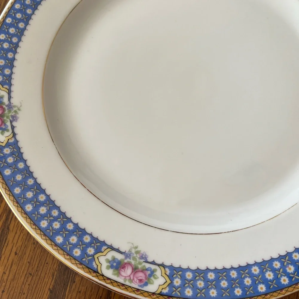 Blue Floral Rim Porcelain Dinner Plate Set